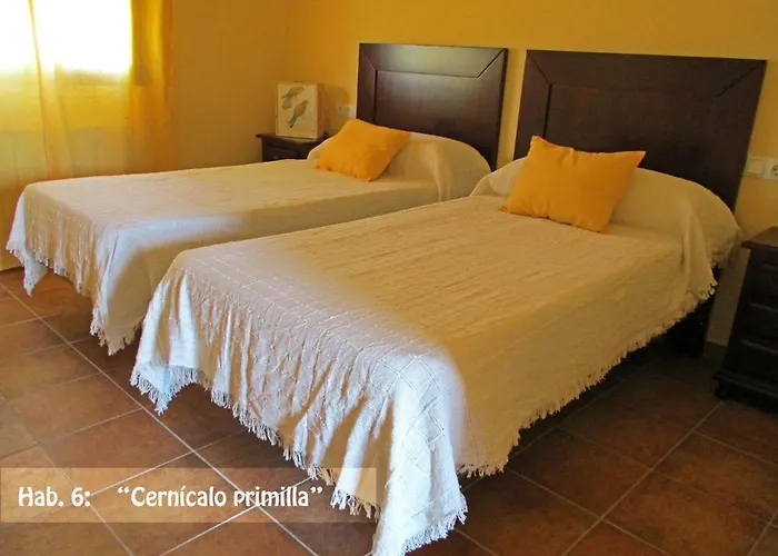 El Nidal Casas de Don Pedro